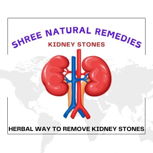 Kidney